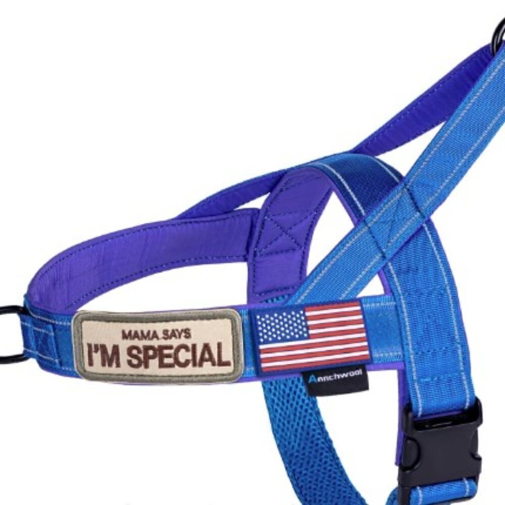 "MAMA SAY I'M SPECIAL" HEAVY DUTY DOG HARNESS NEW